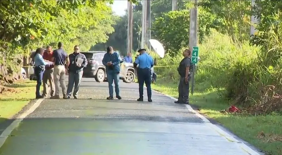 Policías e investigadores en una carretera rural de Puerto Rico durante el día, junto a un vehículo detenido entre la vegetación