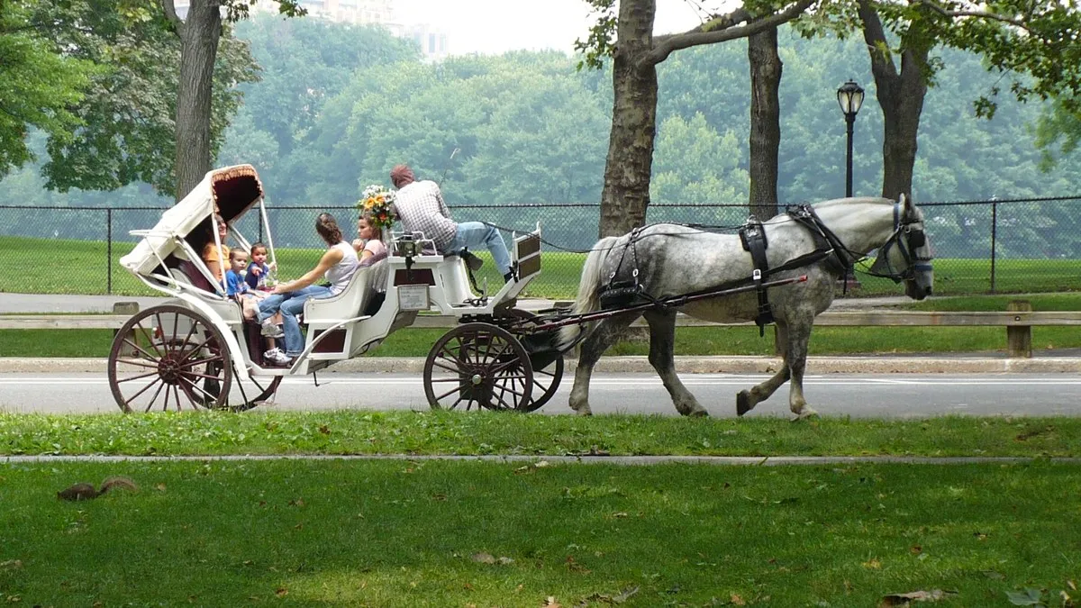 Los carruajes de caballos de Central Park tienen fecha de salida y los conductores reaccionan