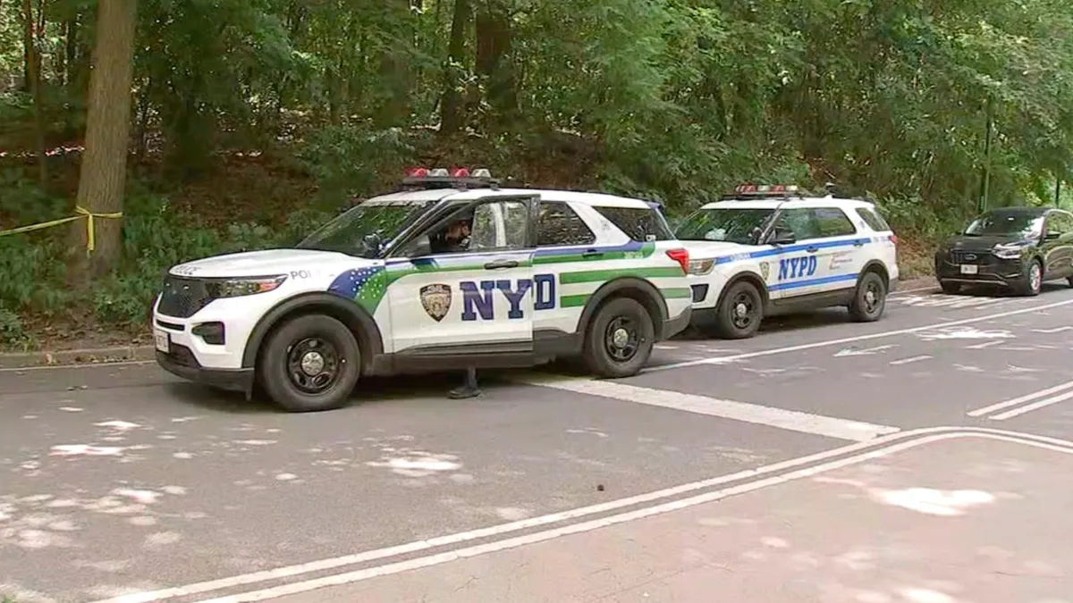 Una mujer fue agredida a punta de cuchillo en Central Park y el NYPD busca al sospechoso