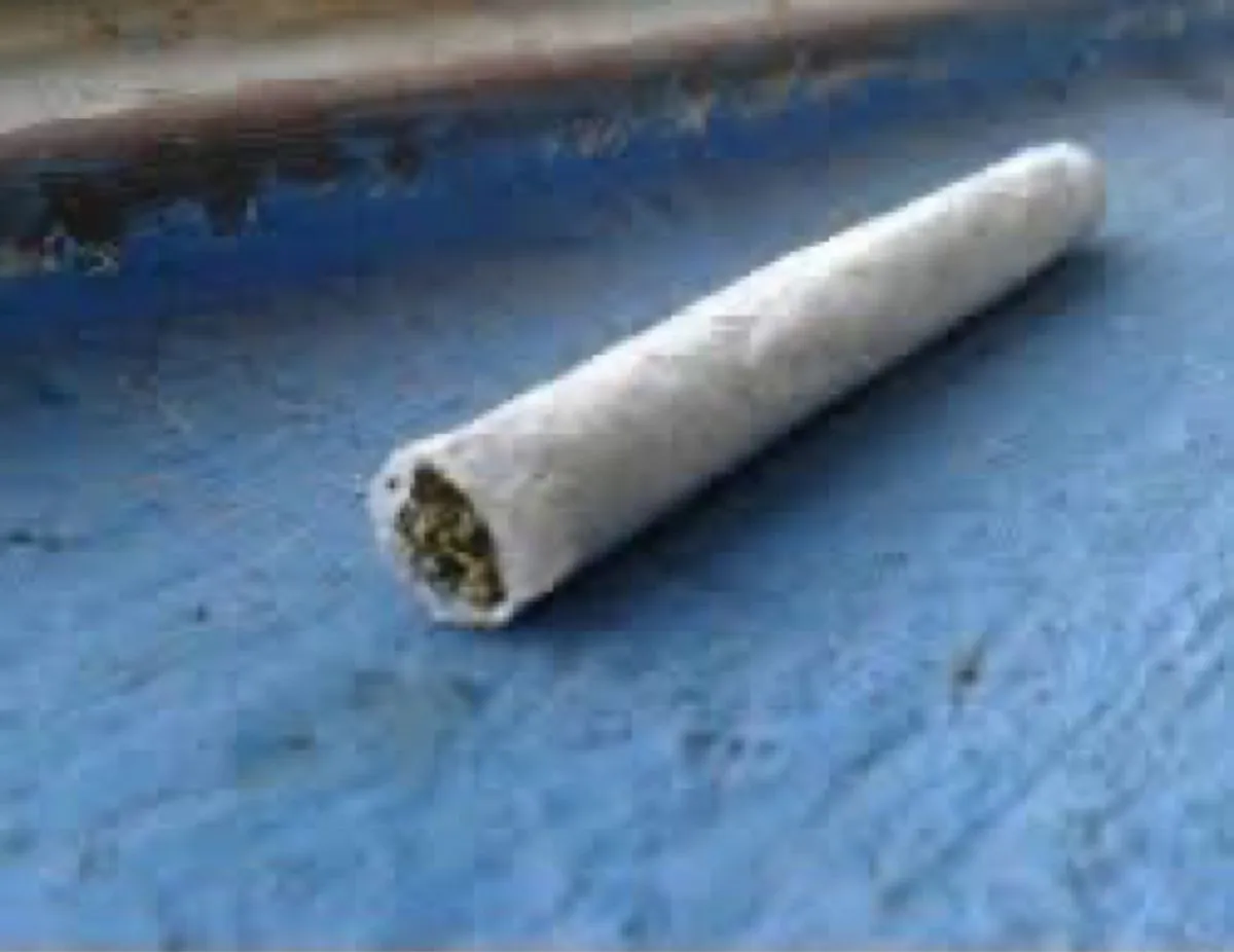 Hallan causa contra el padre de la niña que llevó un 'fili' de marihuana a una escuela de Toa Alta