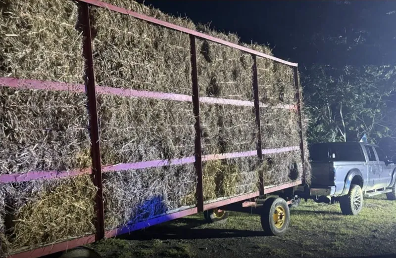 Arrestan a tres hombres tras el hurto de 400 pacas de heno de una finca en Barceloneta
