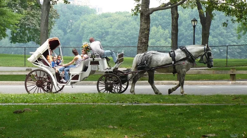 Los carruajes de caballos de Central Park tienen fecha de salida y los conductores reaccionan