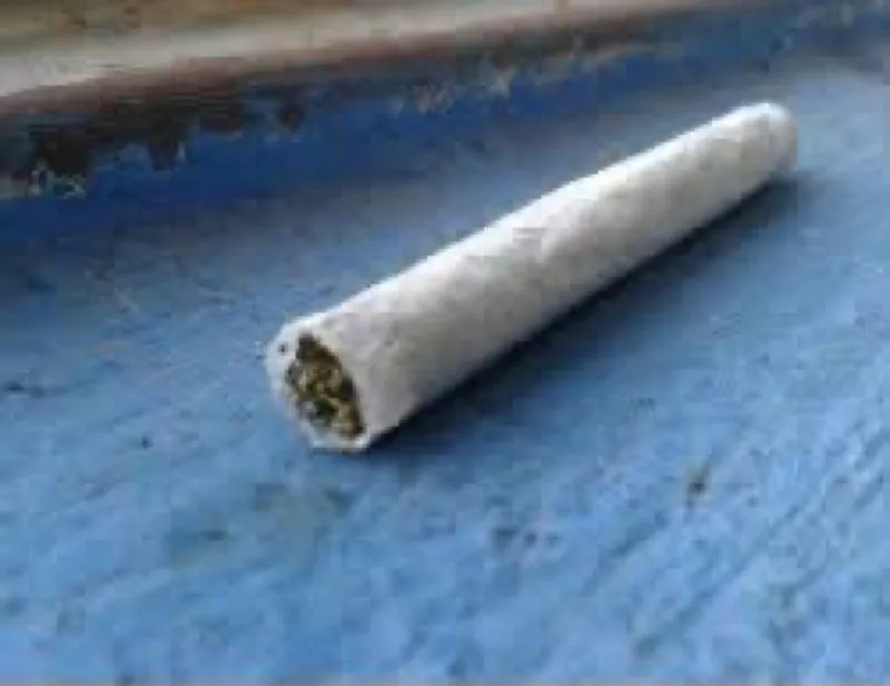 Hallan causa contra el padre de la niña que llevó un 'fili' de marihuana a una escuela de Toa Alta